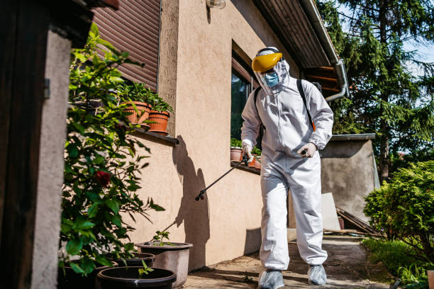 Best Best Pest Control Companies  in Bel Ridge, MO