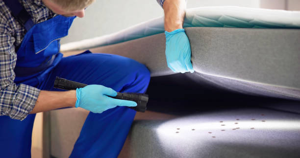 Best Best Pest Control Companies  in Bel Ridge, MO